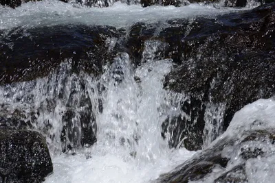 DSC_3592 (Large).JPG